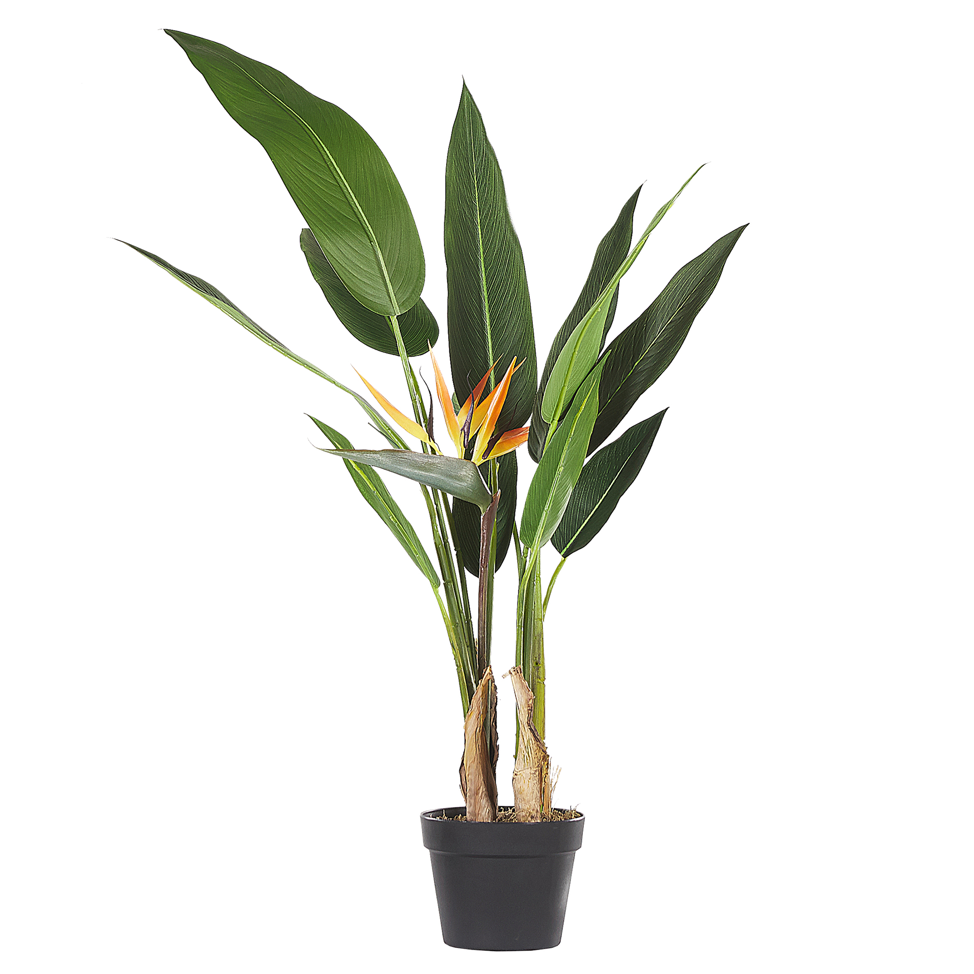 Kunstig plante STRELITZIA TREE 115 cm Grøn