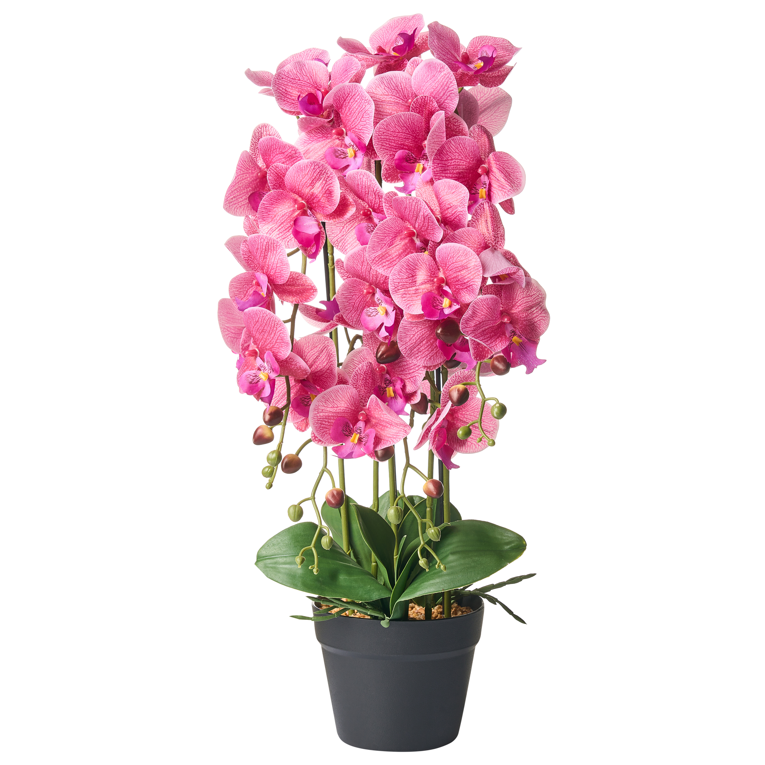Kunstig plante ORCHID 65 cm Lyserød