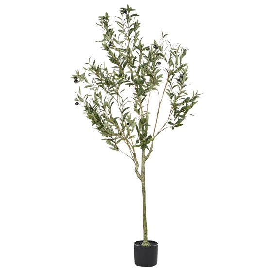 Kunstig plante OLIVE TREE 153 cm Grøn