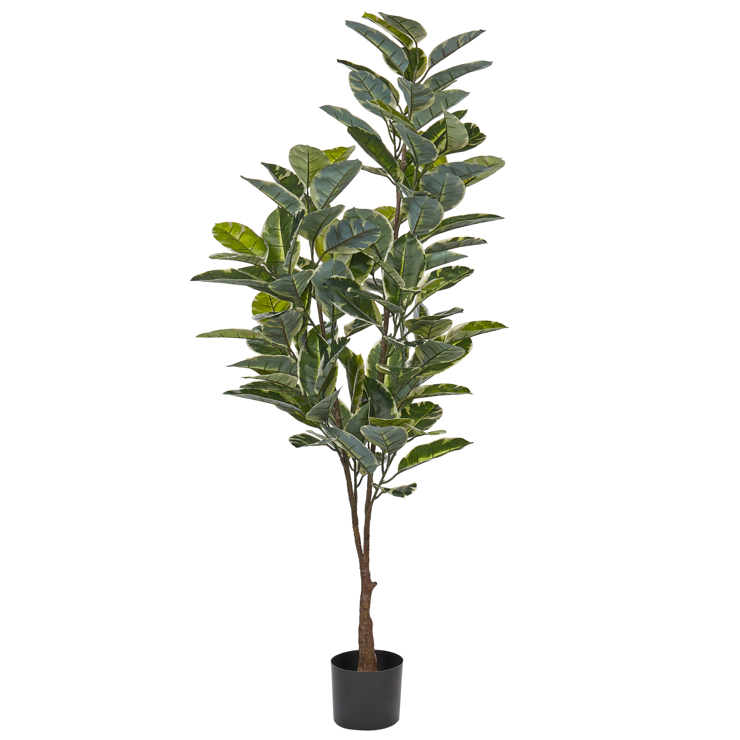 Kunstig plante FICUS ELASTICA 160 cm Grøn