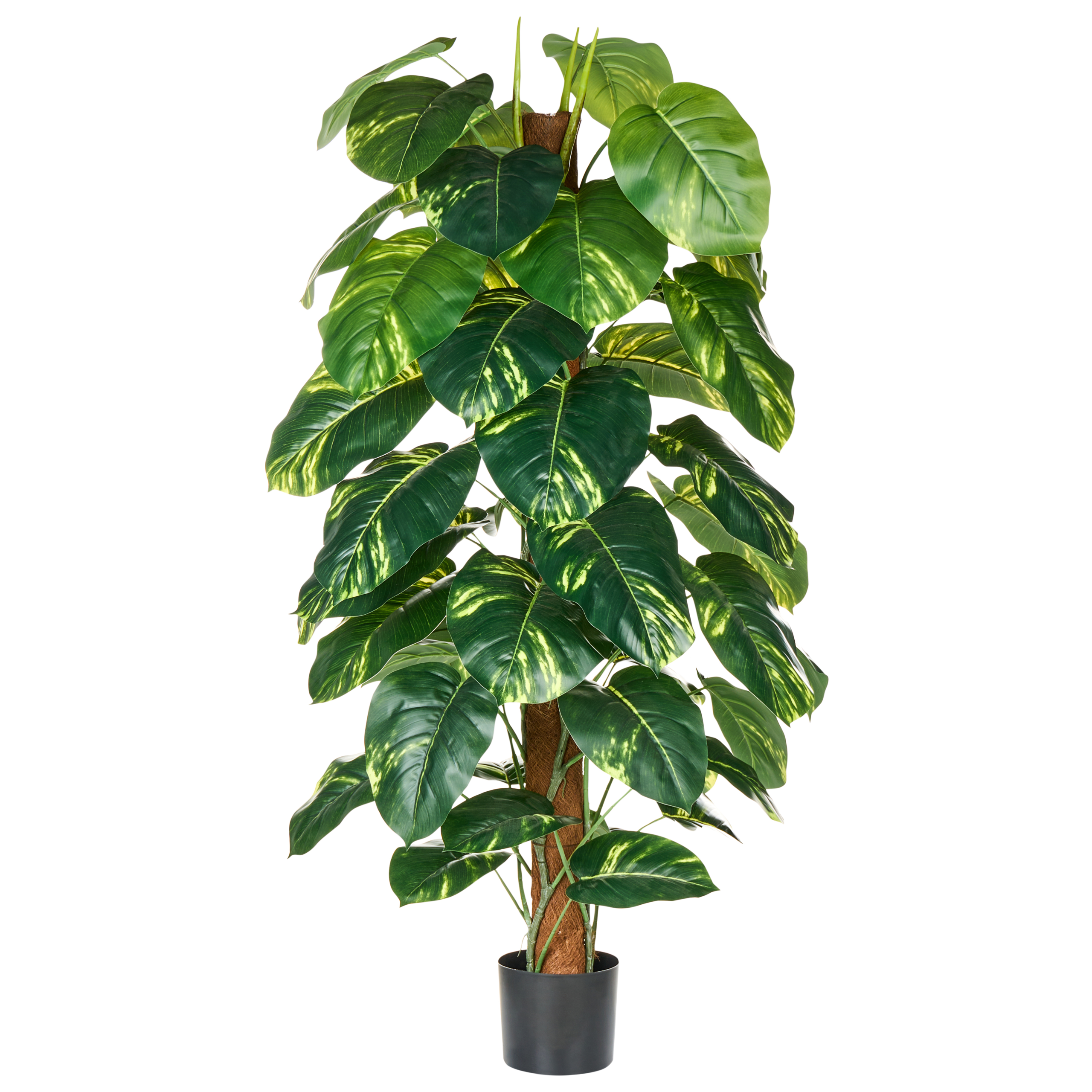 Kunstig plante DIEFFENBACHIA 152 cm Grøn
