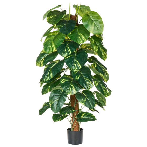 Kunstig plante DIEFFENBACHIA 152 cm Grøn