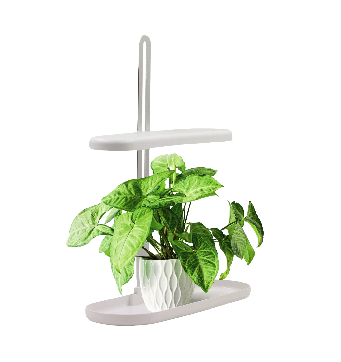 Led Energie Horti vækstlampe med base 10W 5000K USB