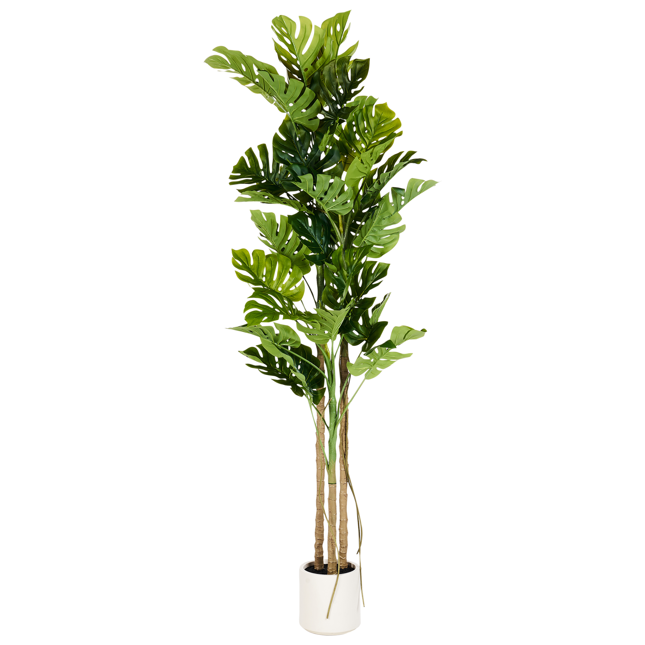 Kunstig plante MONSTERA PLANT 221 cm Grøn