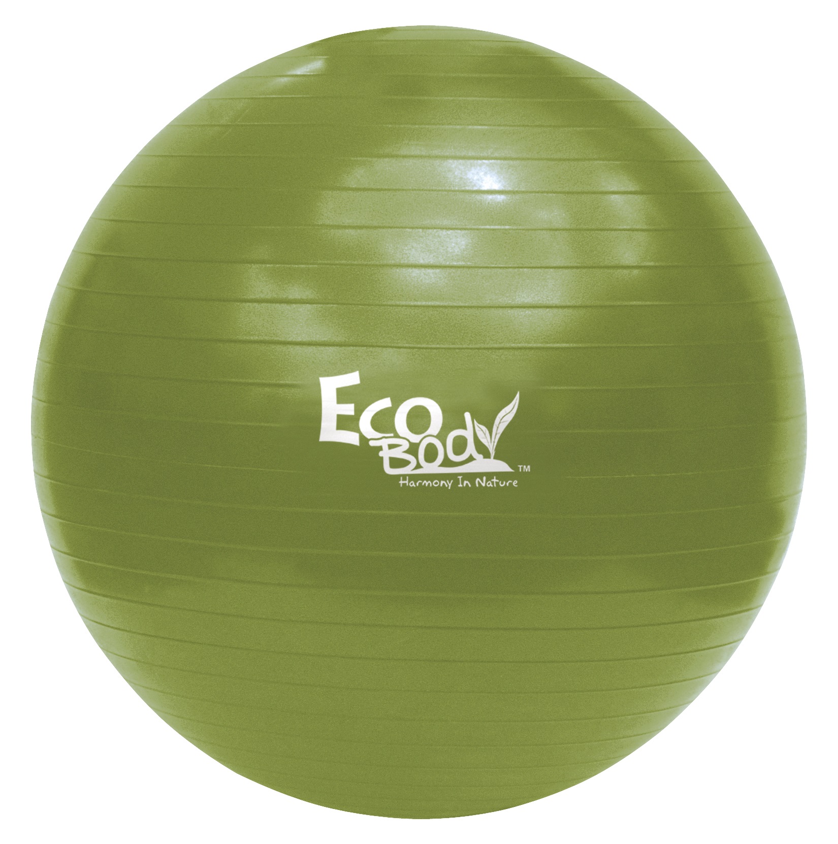 Eco Body Treningsball 75cm