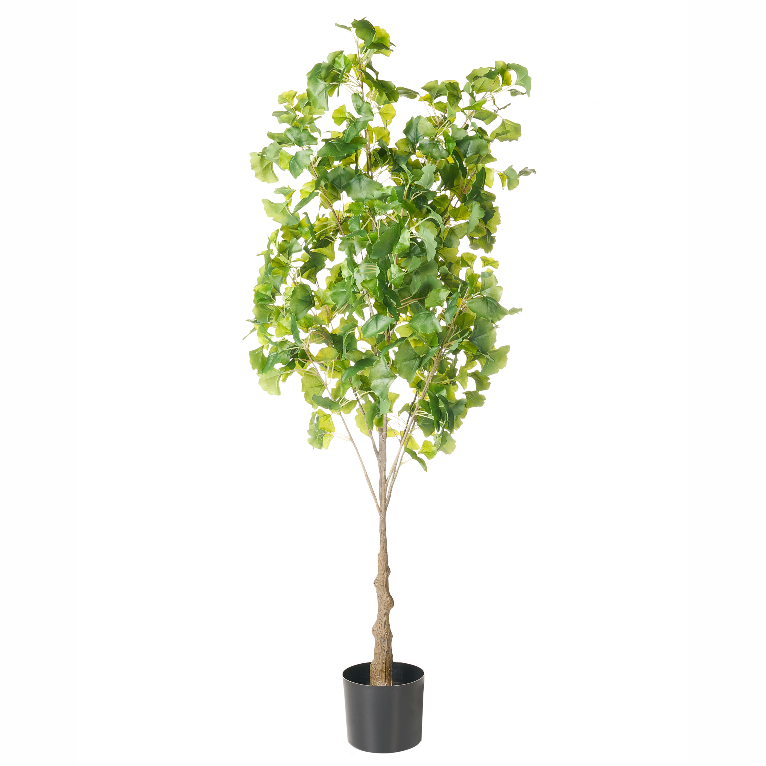 Kunstig plante GINKGO TREE 150 cm Grøn