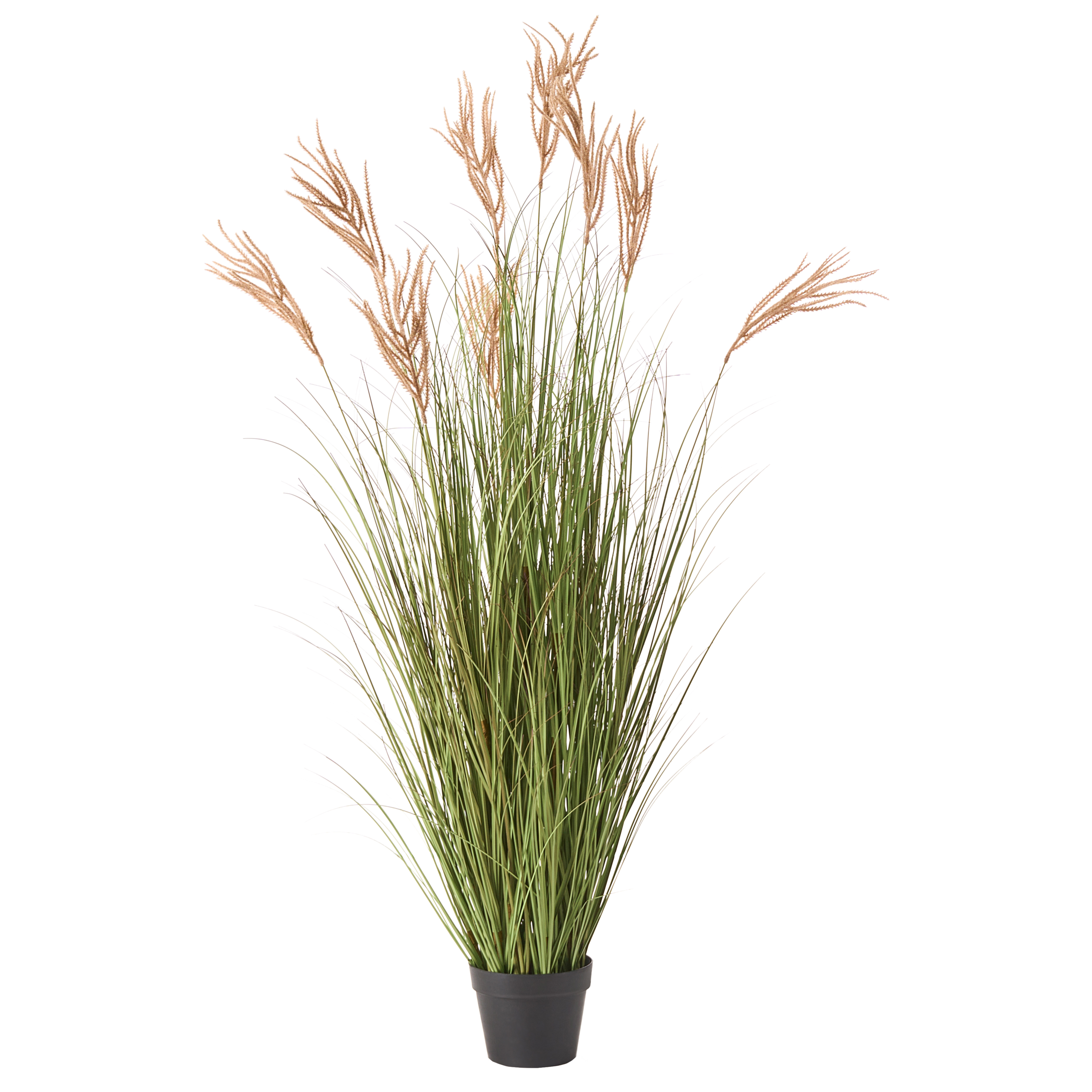 Kunstig plante CLAW FLOWER 150 cm Grøn
