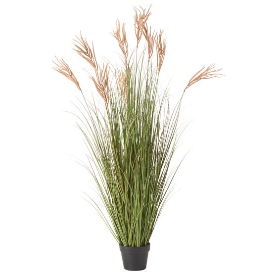 Kunstig plante CLAW FLOWER 150 cm Grøn