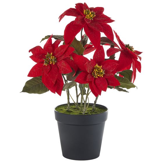 Kunstig plante CHRISTMAS FLOWER 61 cm Rød