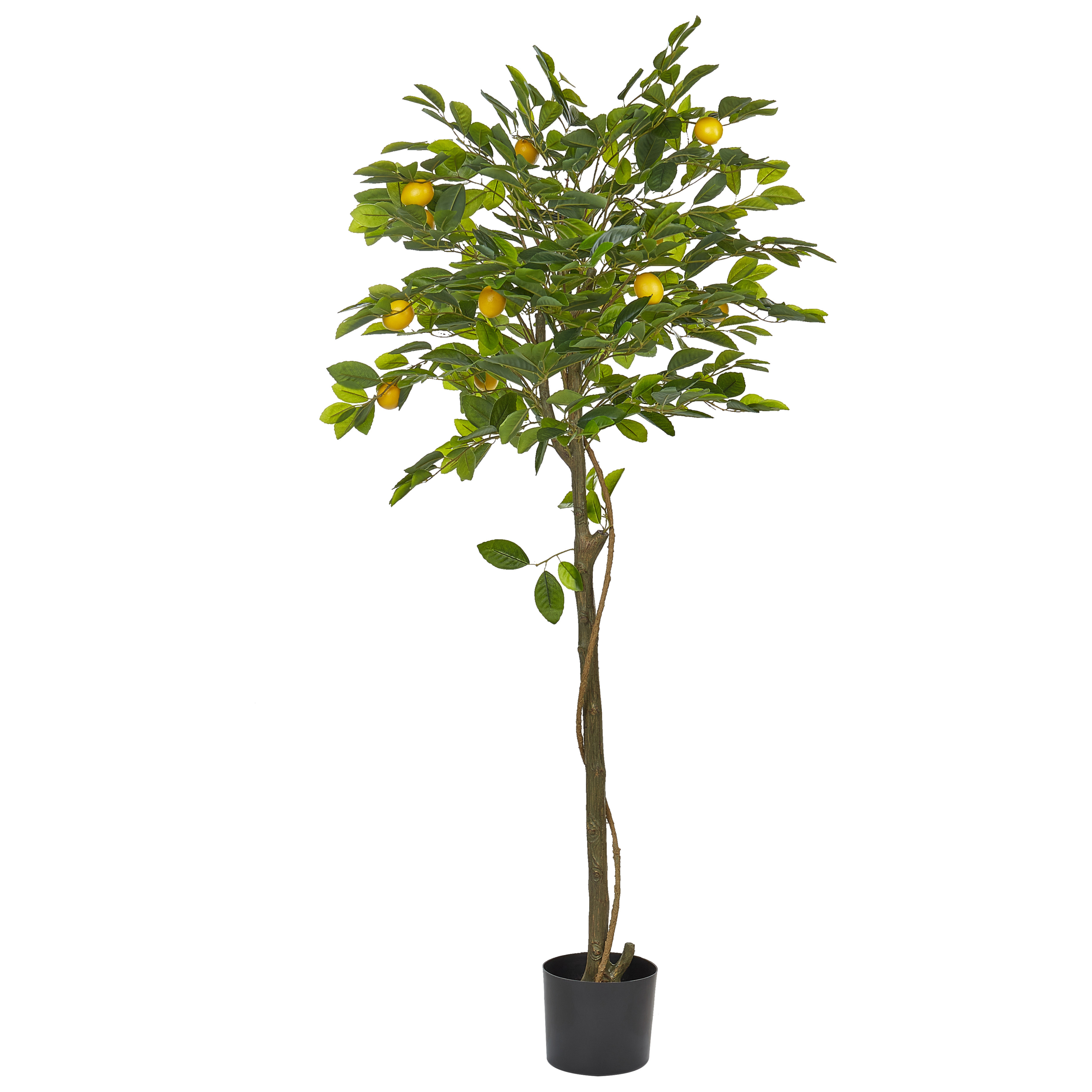 Kunstig plante LEMON TREE 156 cm Grøn