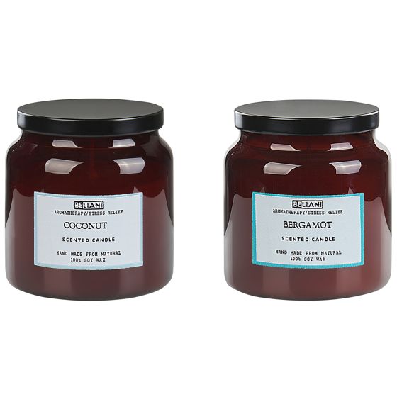 Sæt med 2 duftlys ABSOLUTE ALCHEMY Soja voks Fresh notes
