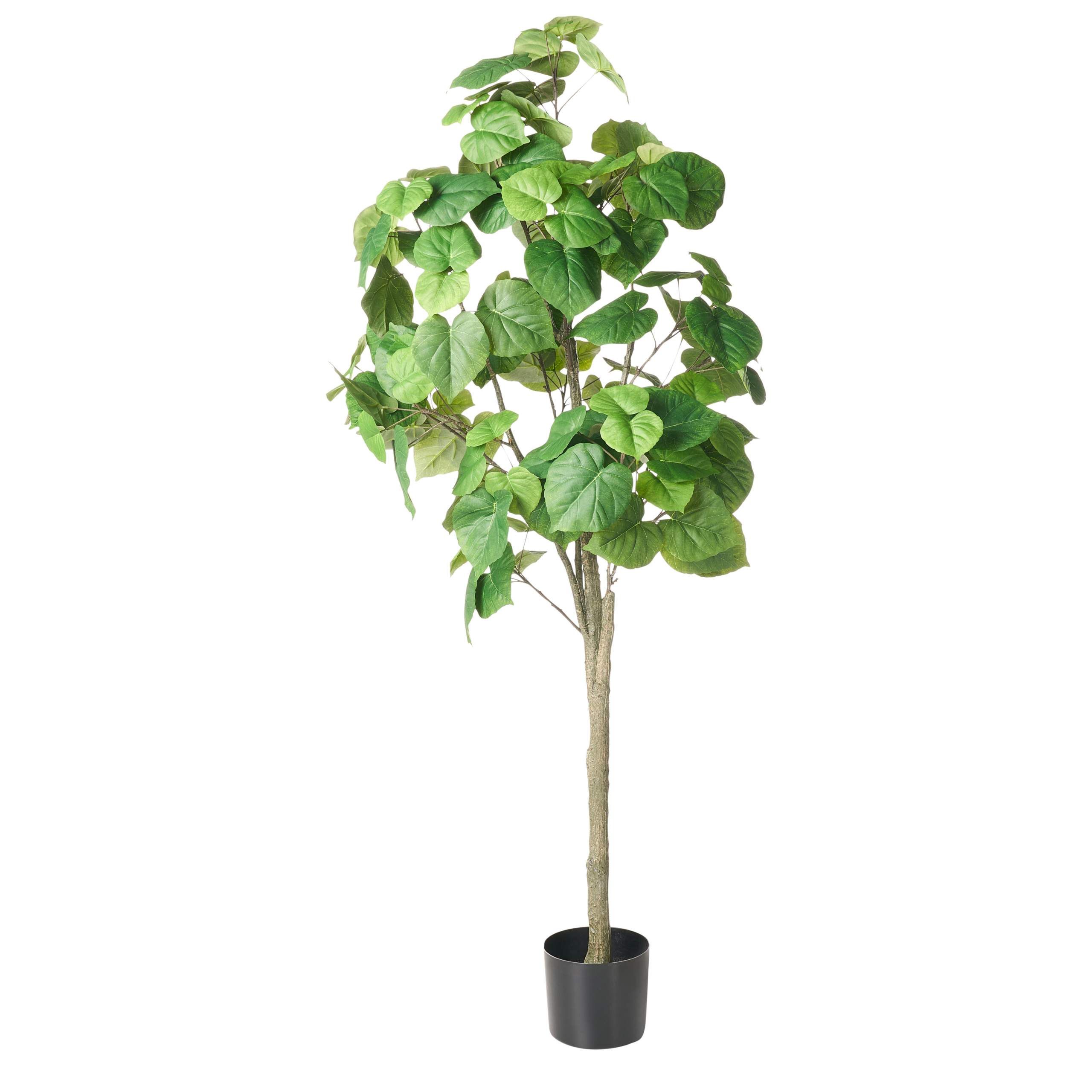 Kunstig plante FICUS TREE 160 cm Grøn