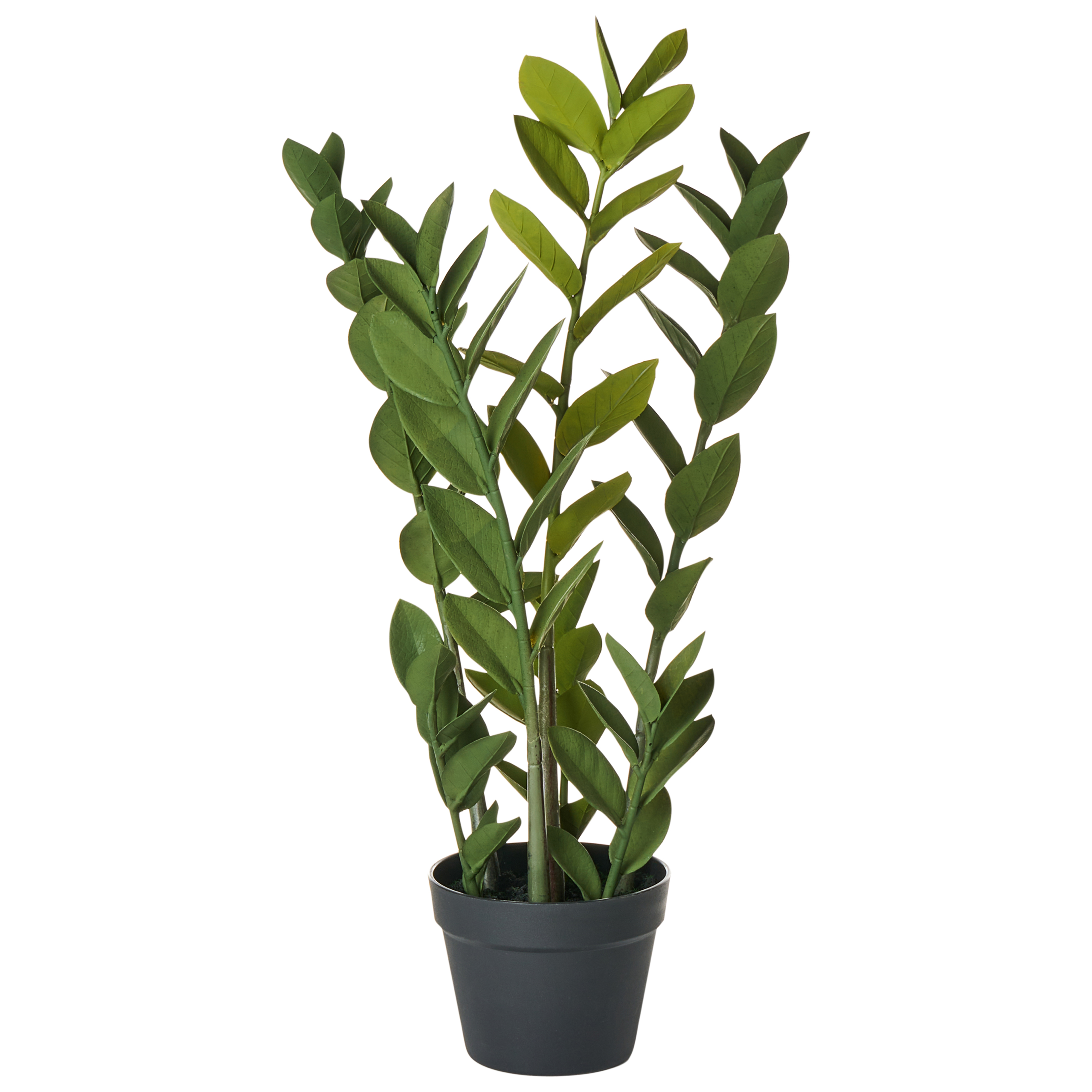 Kunstig plante ZAMIIFOLIA 76 cm Grøn