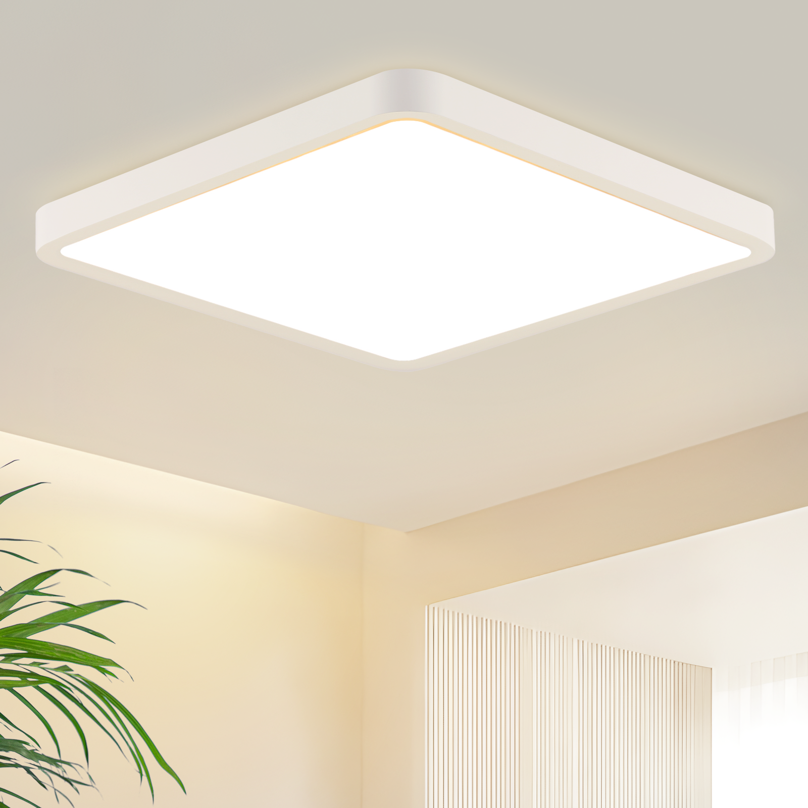 NETTLIFE flad, LED loftslampe, 23 cm, 3000, 18 W, firkantet, til soveværelse Hvid, integreret LED, permanent