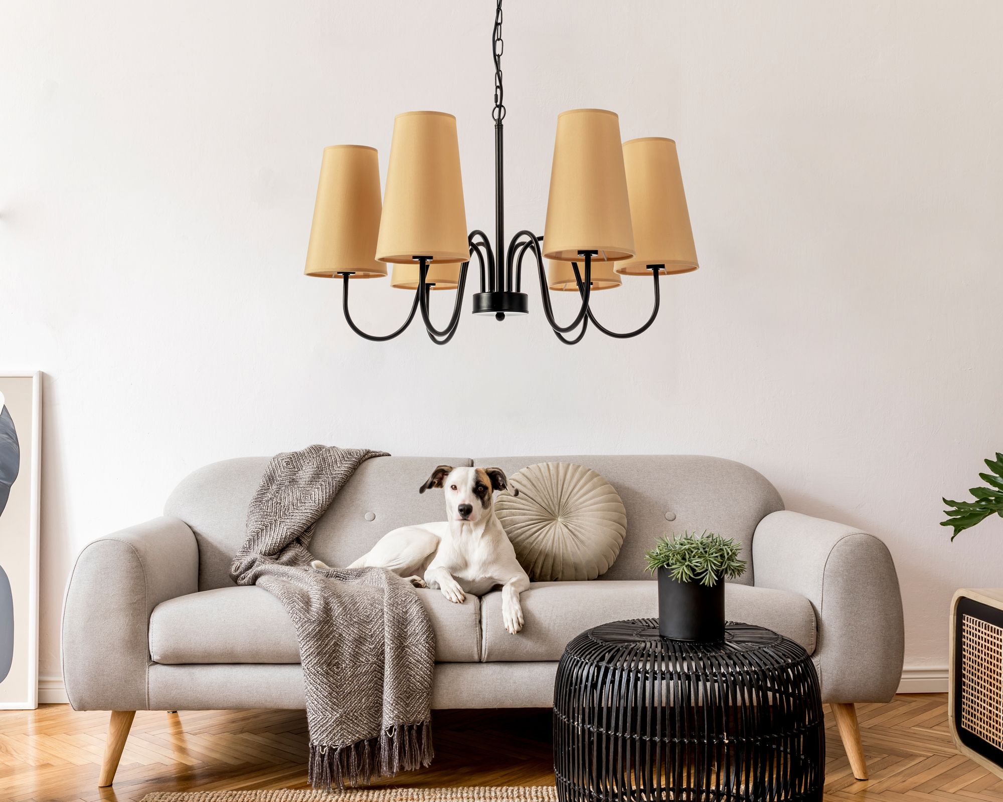 TOOLIGHT hængende loftlampe APP753-6 Sort 70x70x110cm
