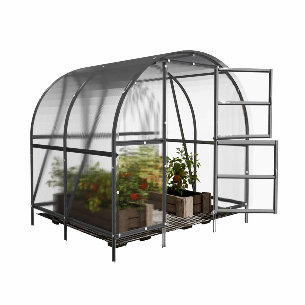 Drivhus KLASIKA BALTIC LT 6 m2, 3 m x 2 m, 6 mm polycarbonatdæksel