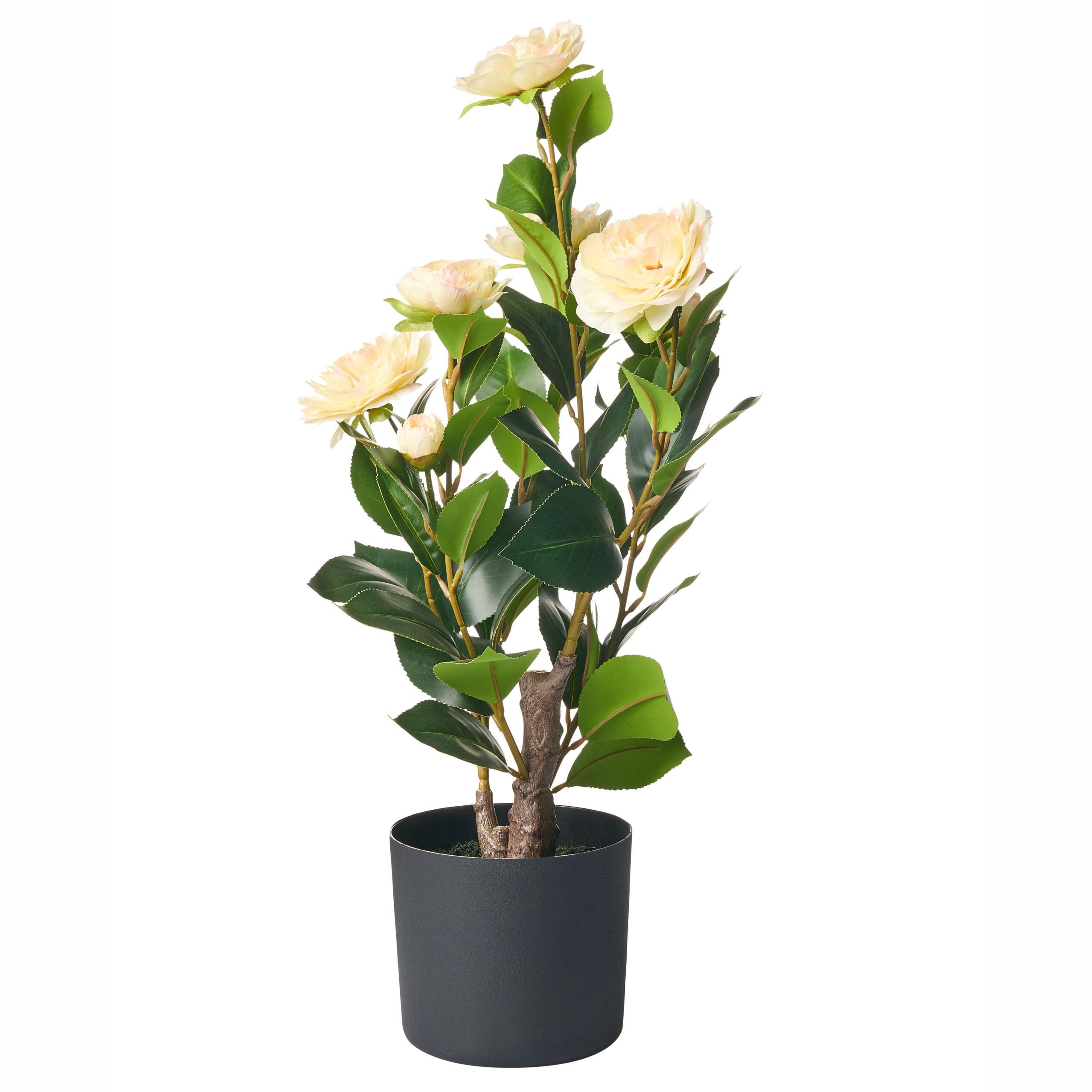 Kunstig plante CAMELLIA 60 cm Grøn