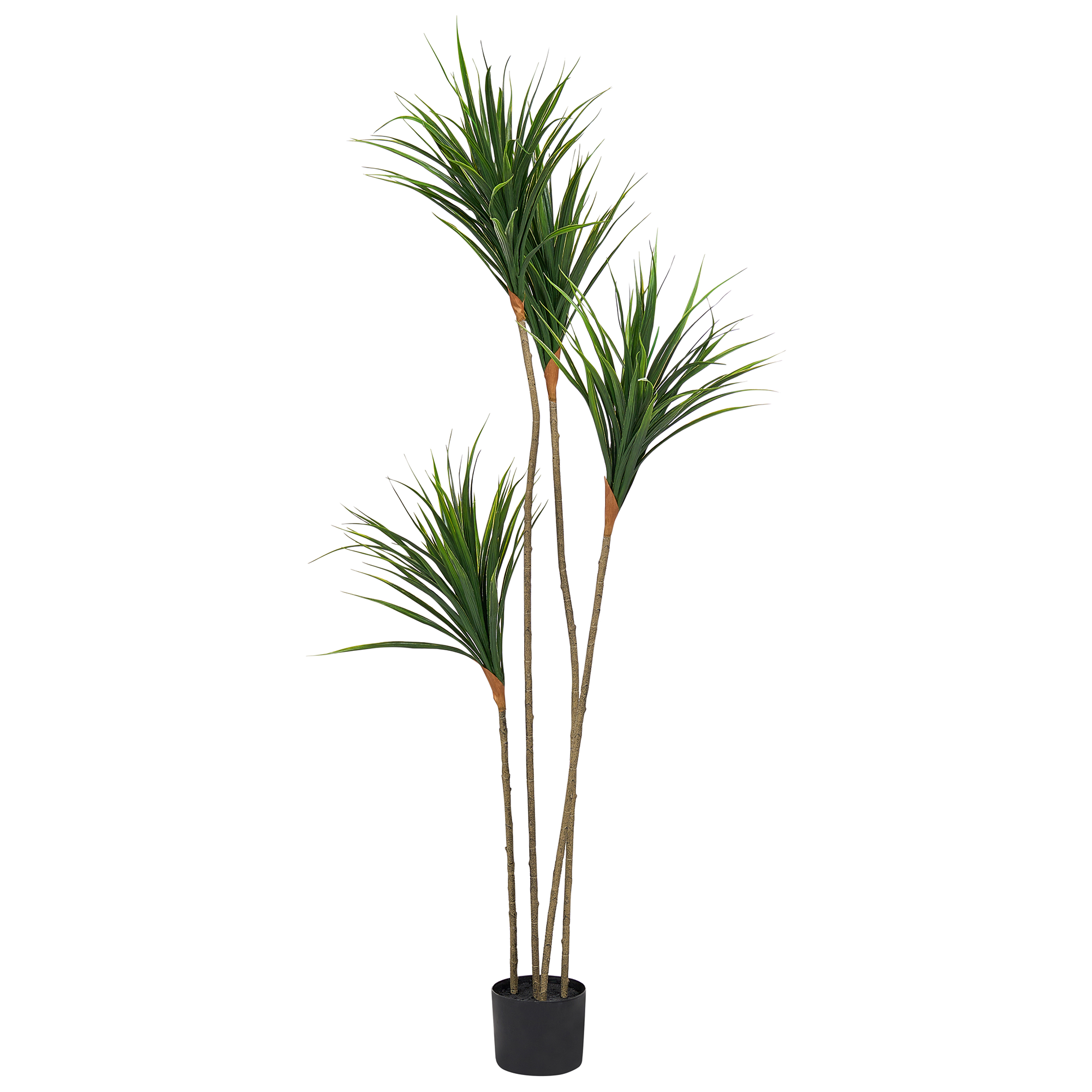 Kunstig plante DRACAENA DRACO 165 cm Grøn