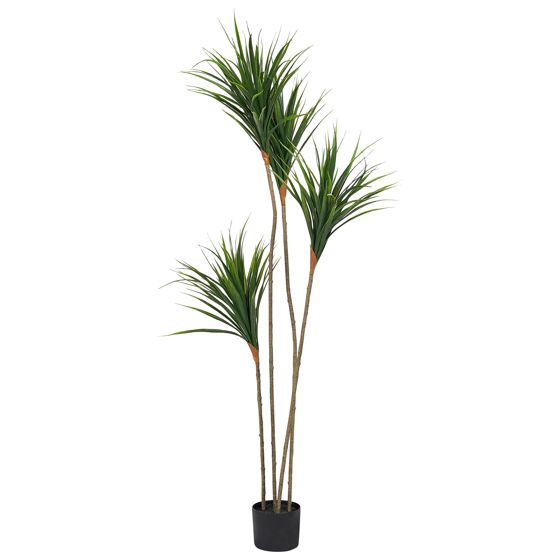 Kunstig plante DRACAENA DRACO 165 cm Grøn