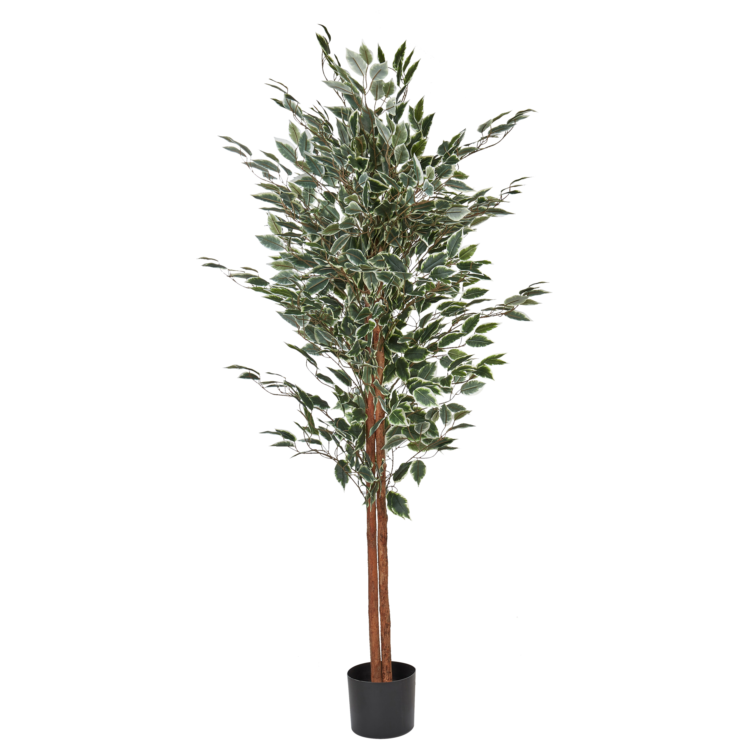 Kunstig plante FICUS 167 cm Grøn