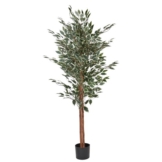 Kunstig plante FICUS 167 cm Grøn