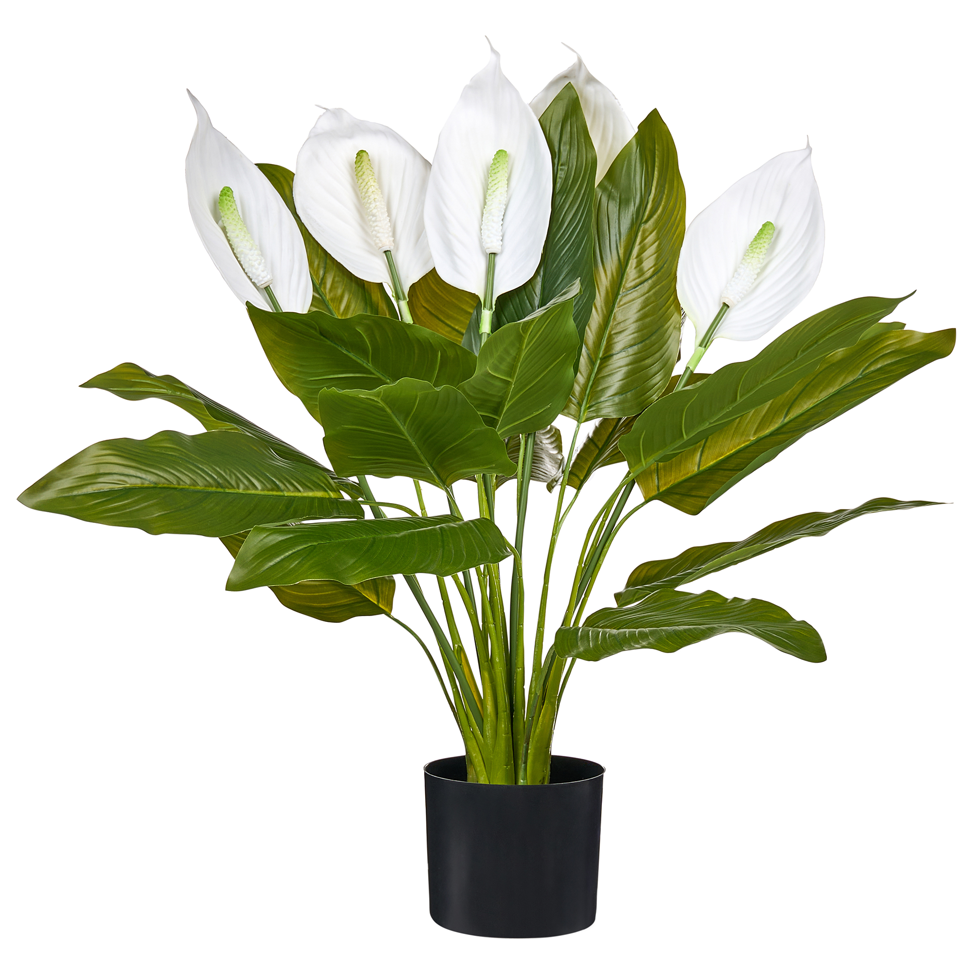 Kunstig plante SPATHPHYLLUM 70 cm Grøn