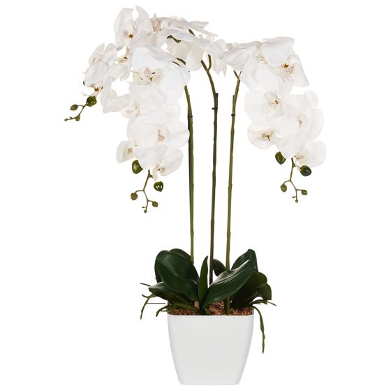 Kunstig plante ORCHID 59 cm Hvid