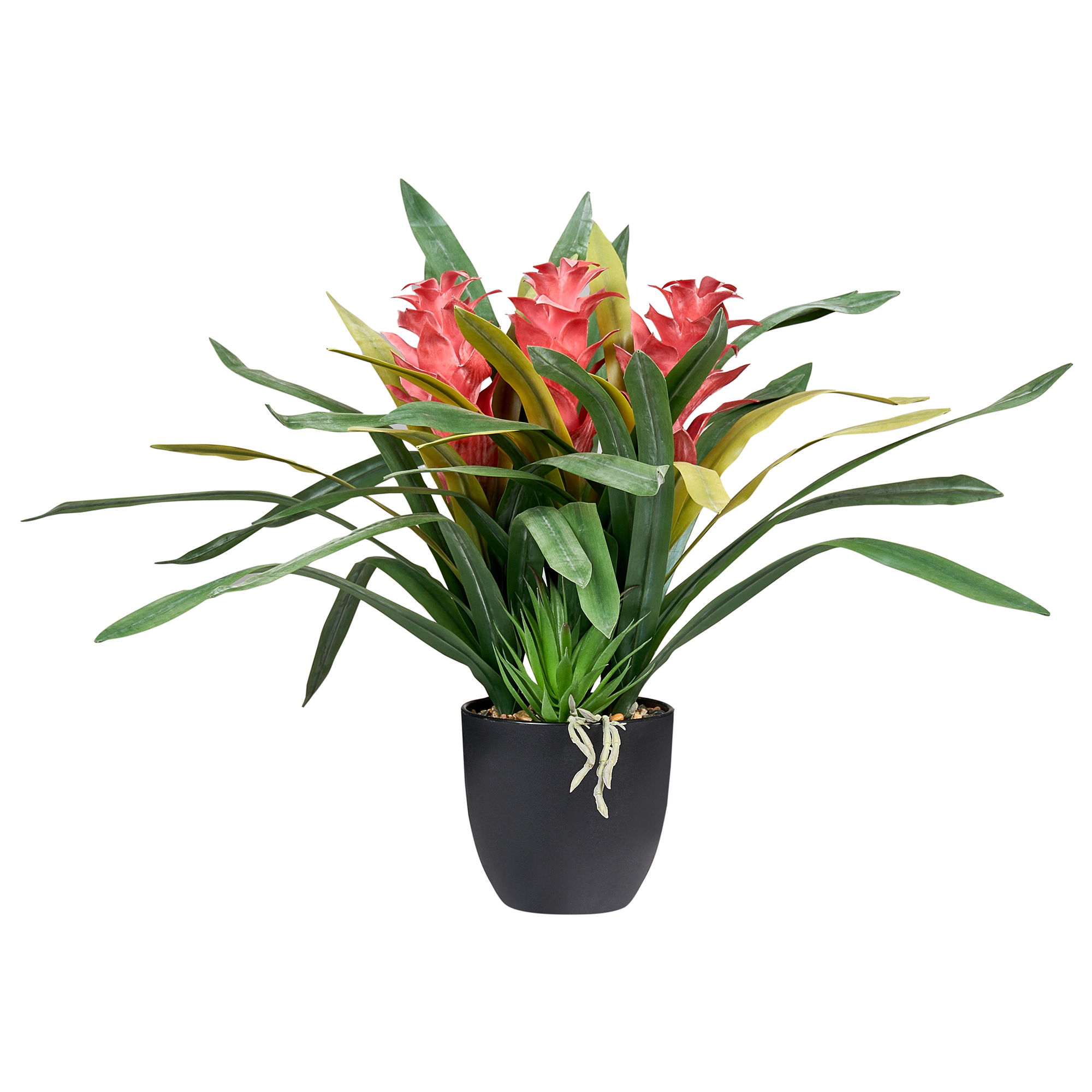 Kunstig plante GUZMANIA ATILLA 50 cm Grøn
