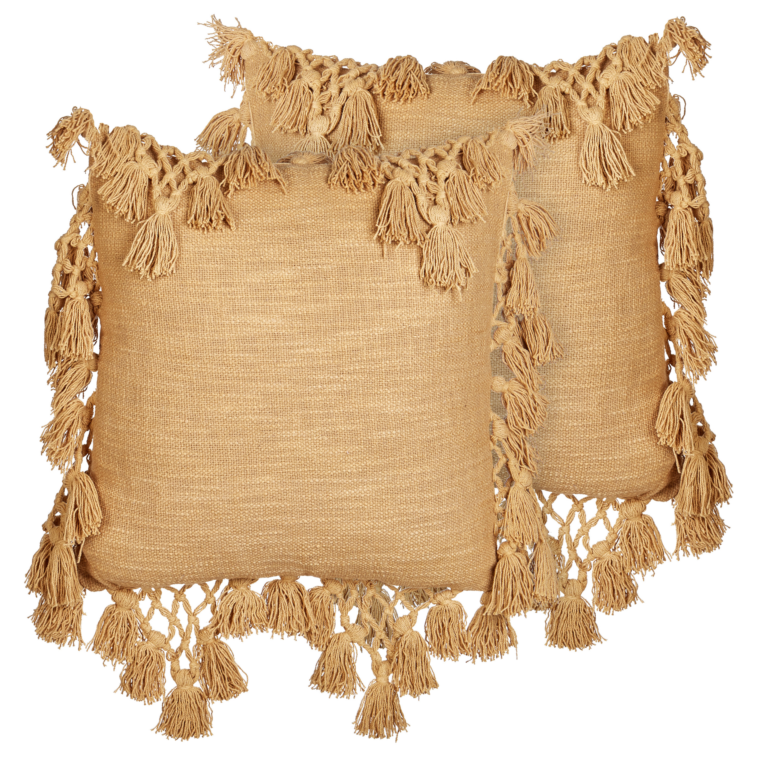 Sæt af 2 pyntepuder OLEARIA 45 x 45 cm Bomuld Beige Ensfarvet