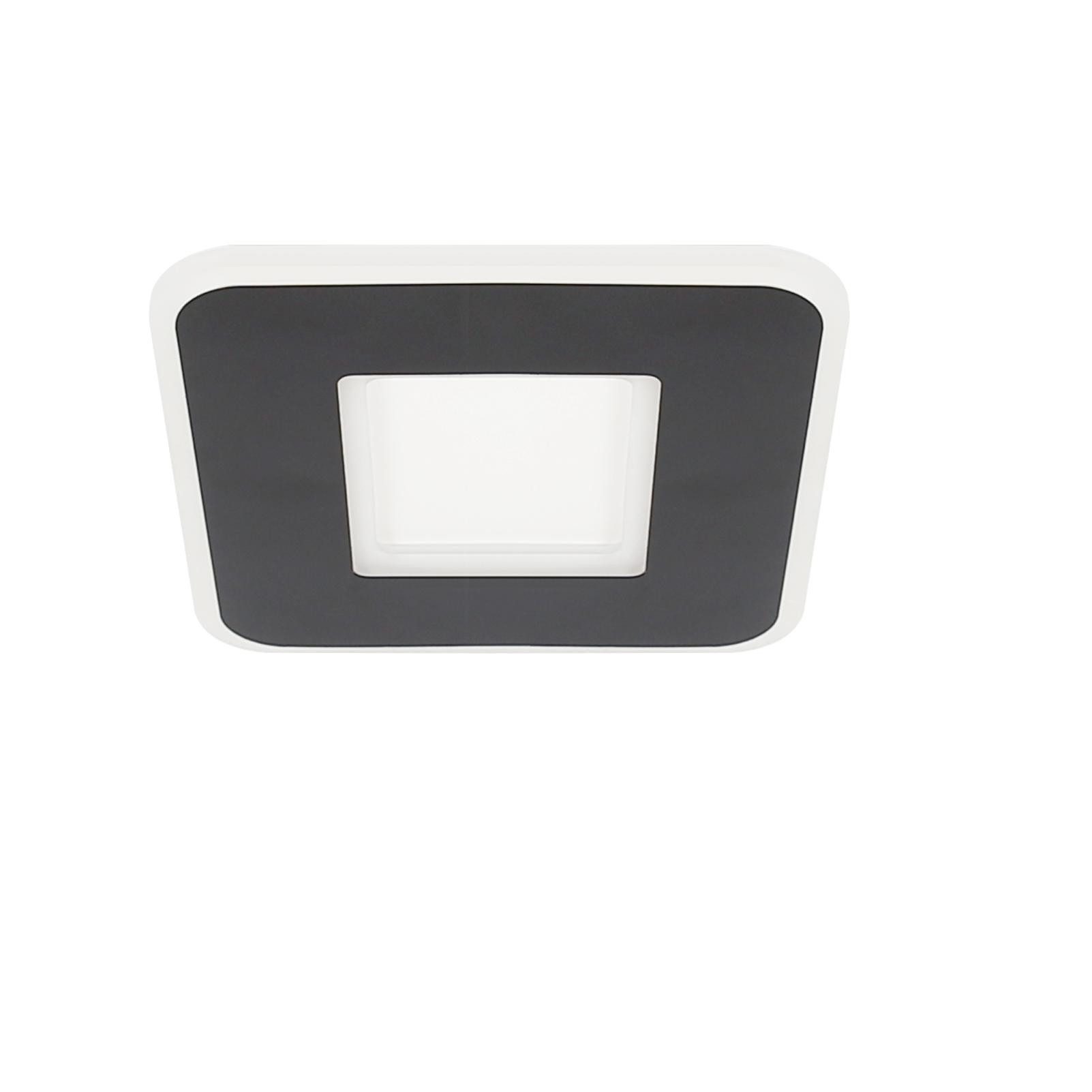 NETTLIFE Sort, firkantet, LED loftslampe, 23W,/20W, moderne, varm hvid, permanent, integreret, LED loftslampe