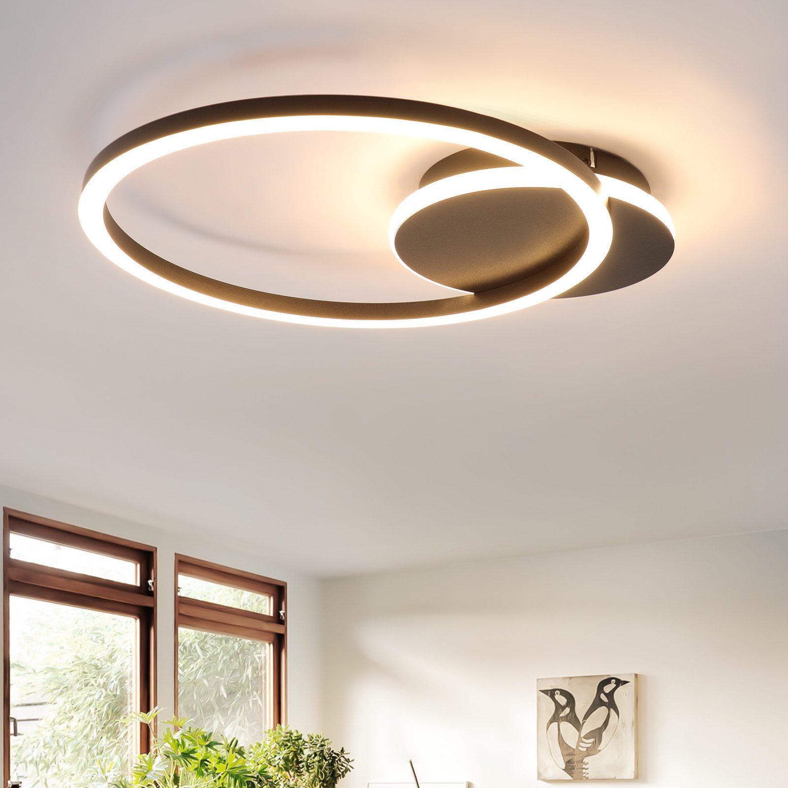 NETTLIFE LED - loftlampe, til stue, 24W, sort, moderne, 2 ringe, 3000K, varm, hvid