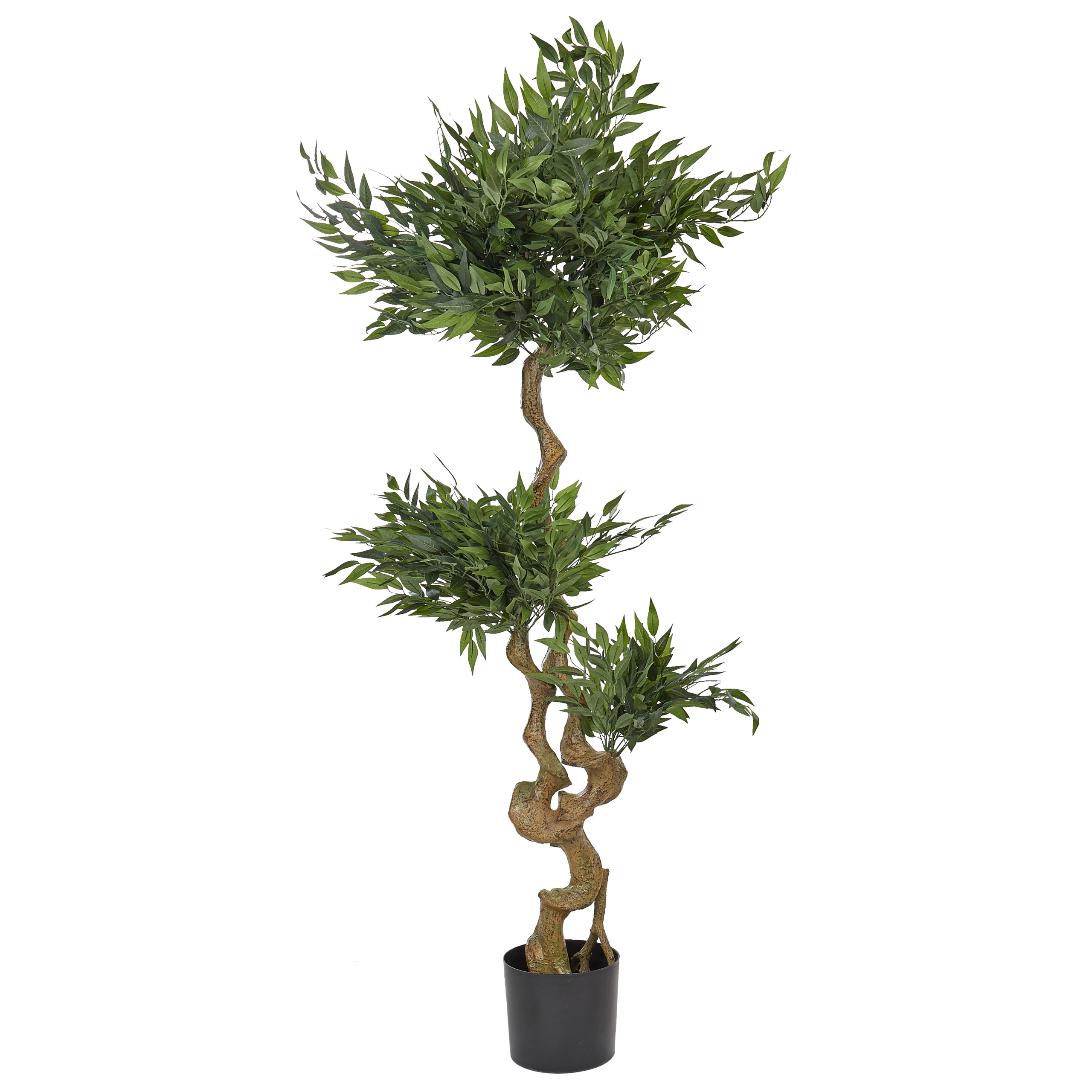 Kunstig plante RUSCUS TREE 166 cm Grøn