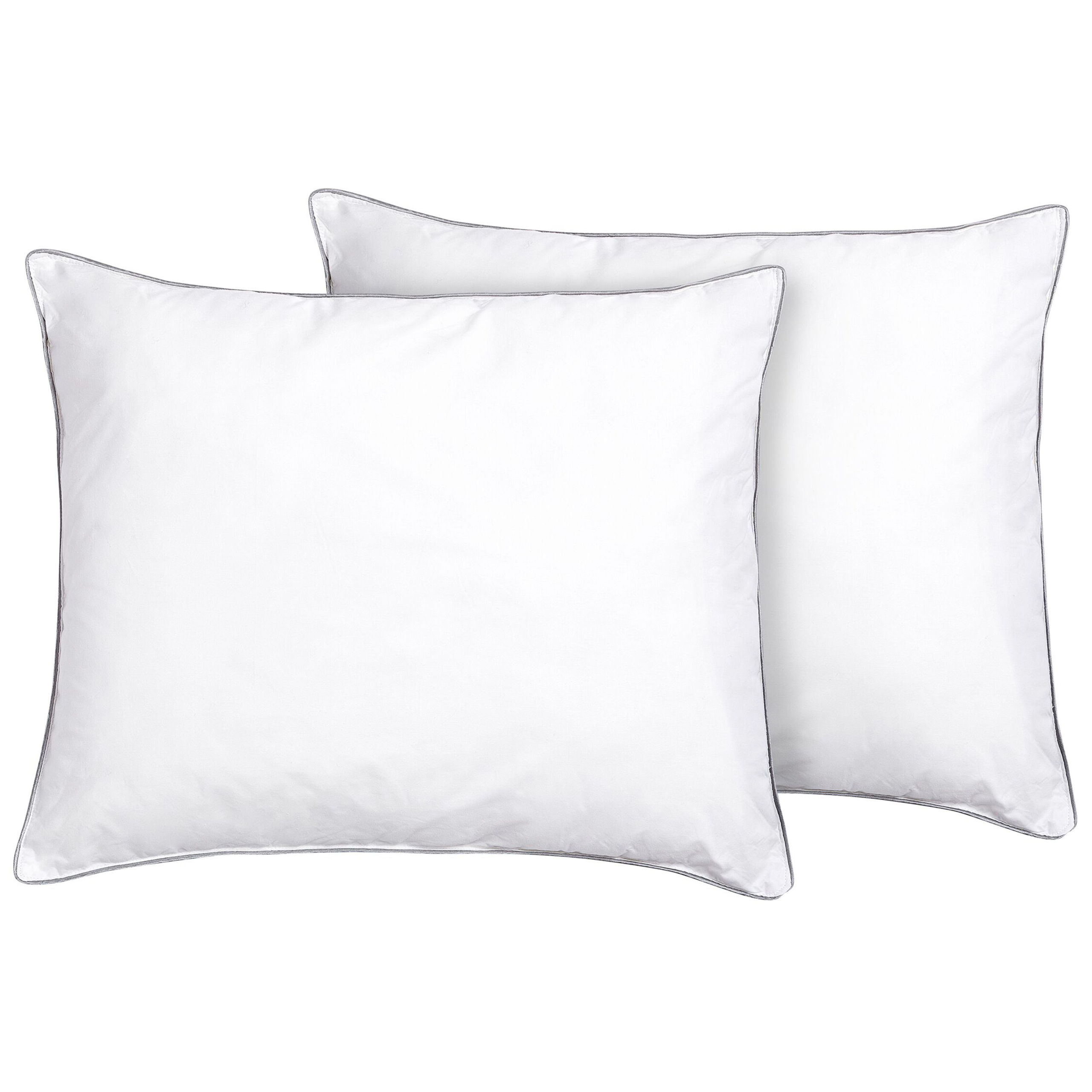 Sæt af 2 hovedpuder PELISTER Lav 50 x 60 cm Microfiber Hvid