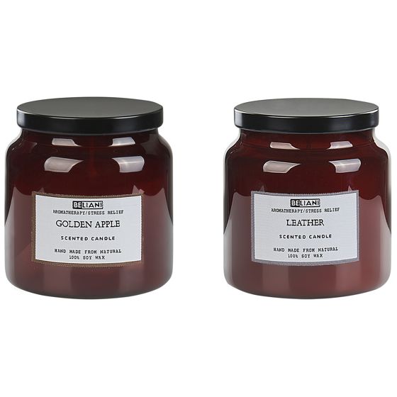 Sæt med 2 duftlys ABSOLUTE ALCHEMY Soja voks Frugtig noter Fresh notes