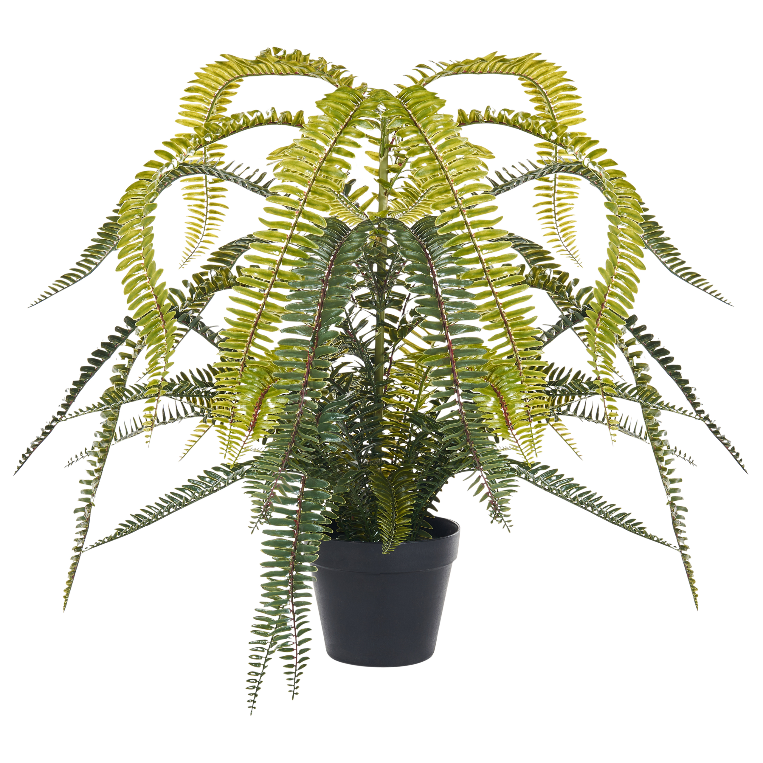 Kunstig plante FERN LEAF PLANT 105 cm Grøn