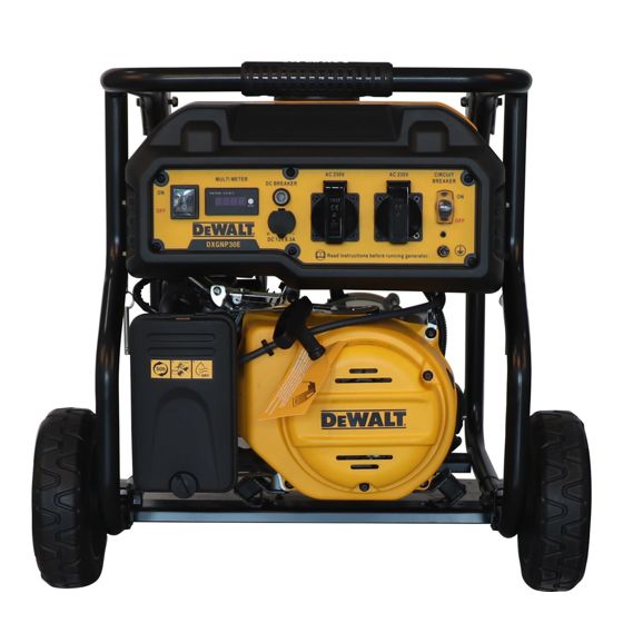 DeWalt generator DXGNP30E
