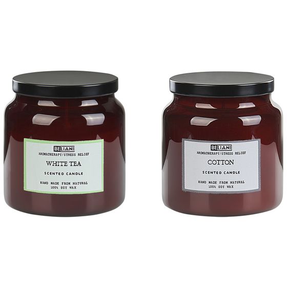 Sæt med 2 duftlys ABSOLUTE ALCHEMY Soja voks Fresh notes