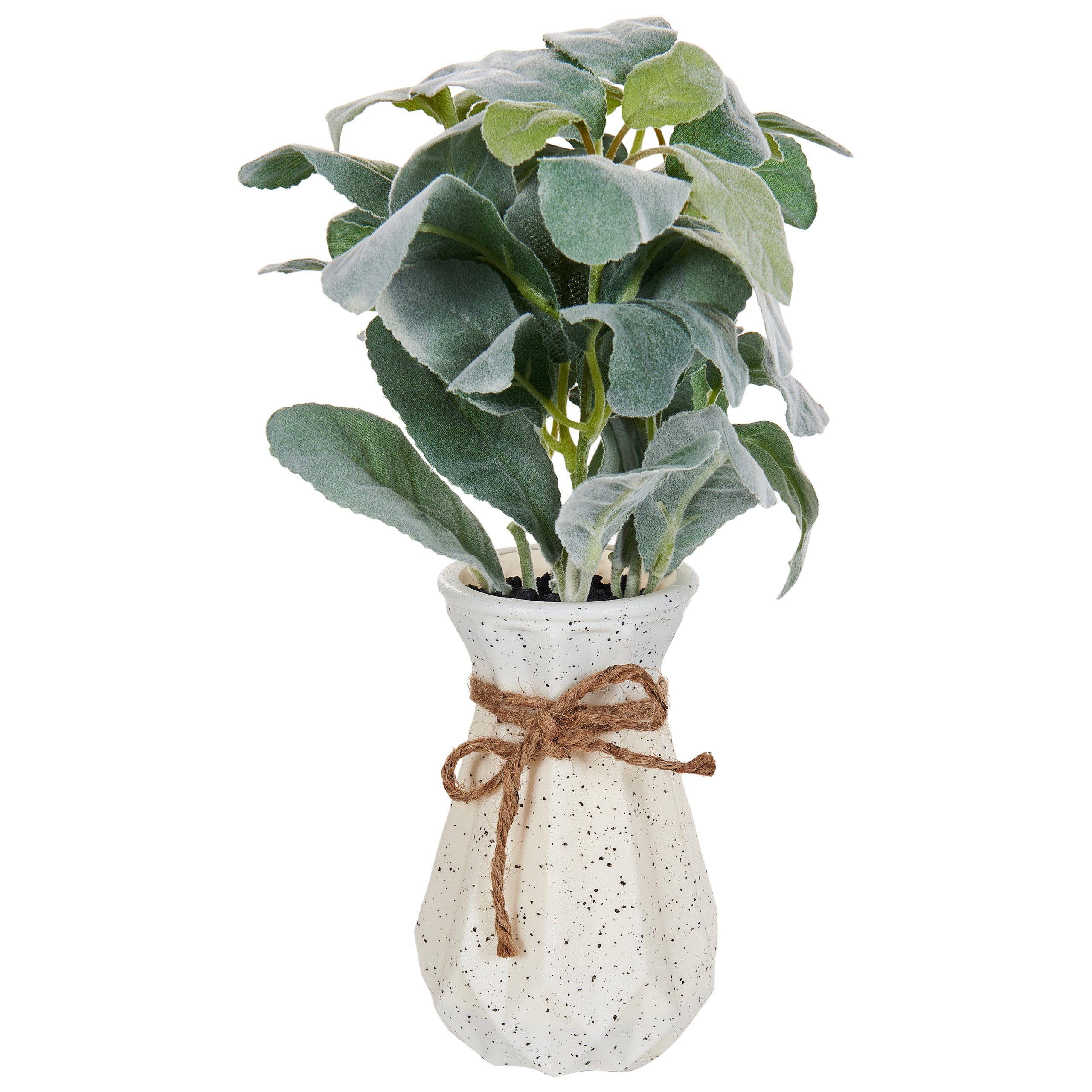 Kunstig plante PEPEROMIA ARGYREIA 30 cm Grøn