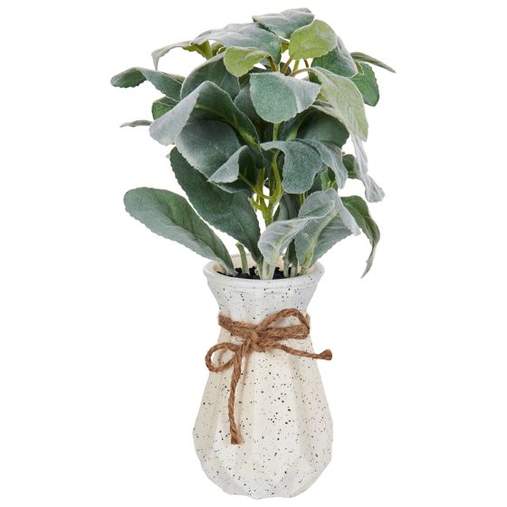 Kunstig plante PEPEROMIA ARGYREIA 30 cm Grøn