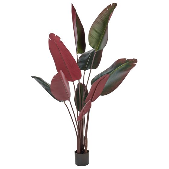 Kunstig plante BANANA TREE 163 cm Grøn