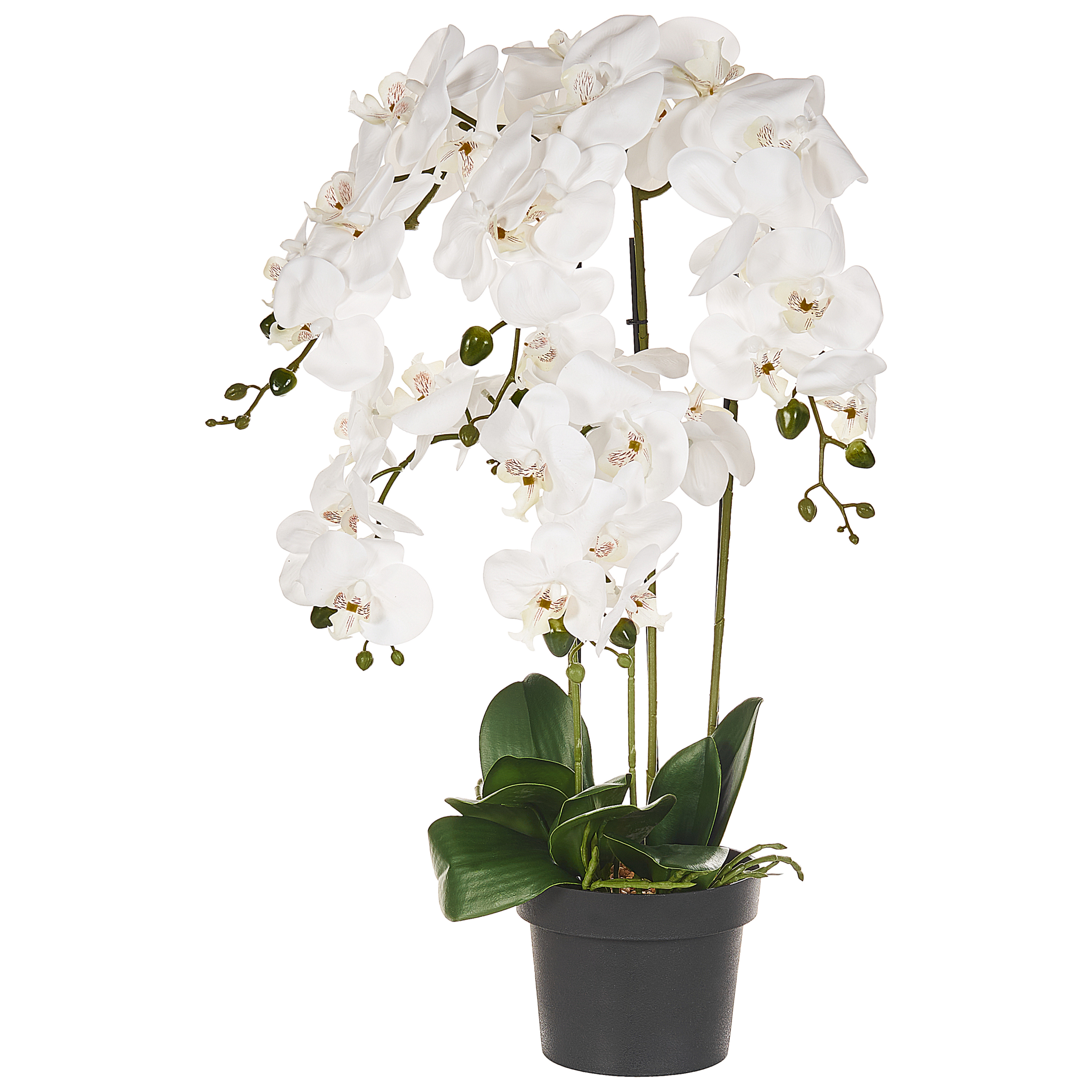 Kunstig plante ORCHID 65 cm Hvid