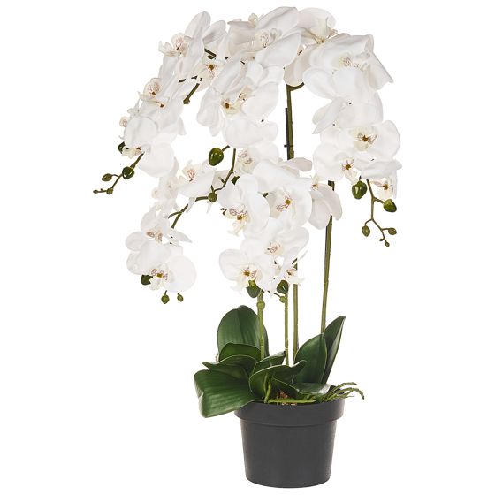 Kunstig plante ORCHID 65 cm Hvid