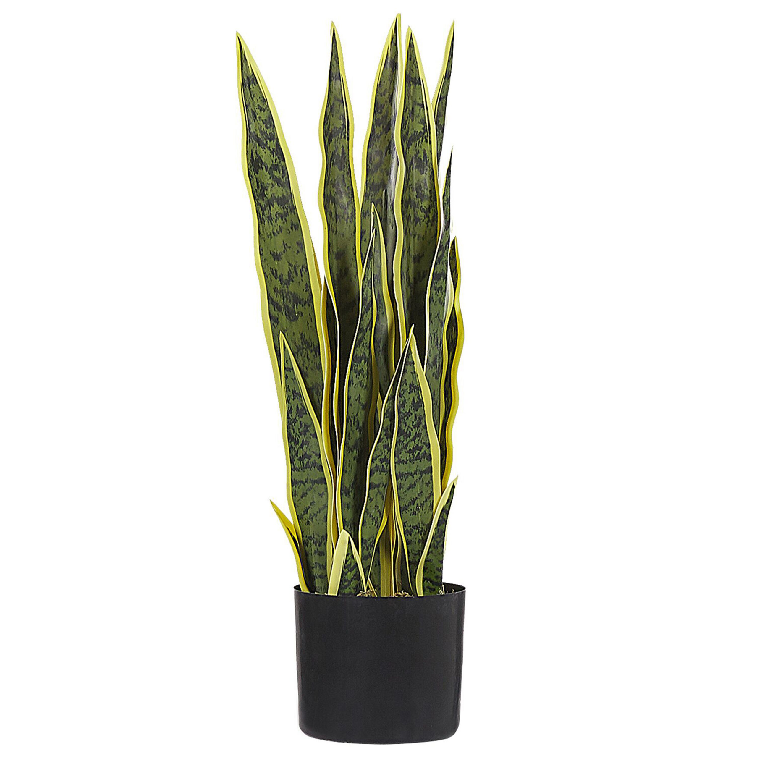 Kunstig plante SNAKE PLANT 63 cm Grøn