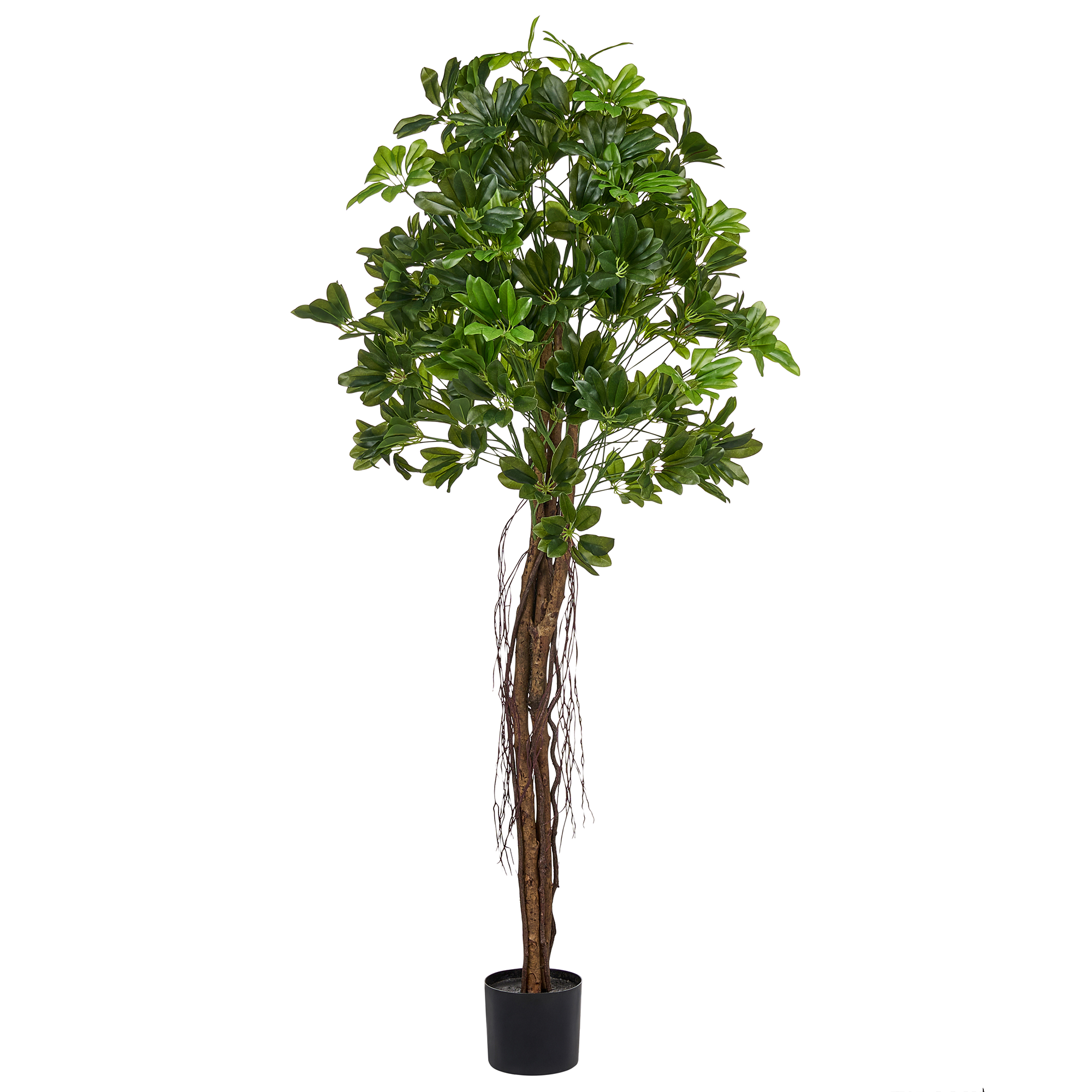 Kunstig plante UMBRELLA TREE 175 cm Grøn