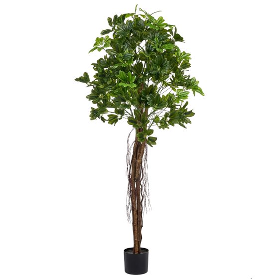 Kunstig plante UMBRELLA TREE 175 cm Grøn