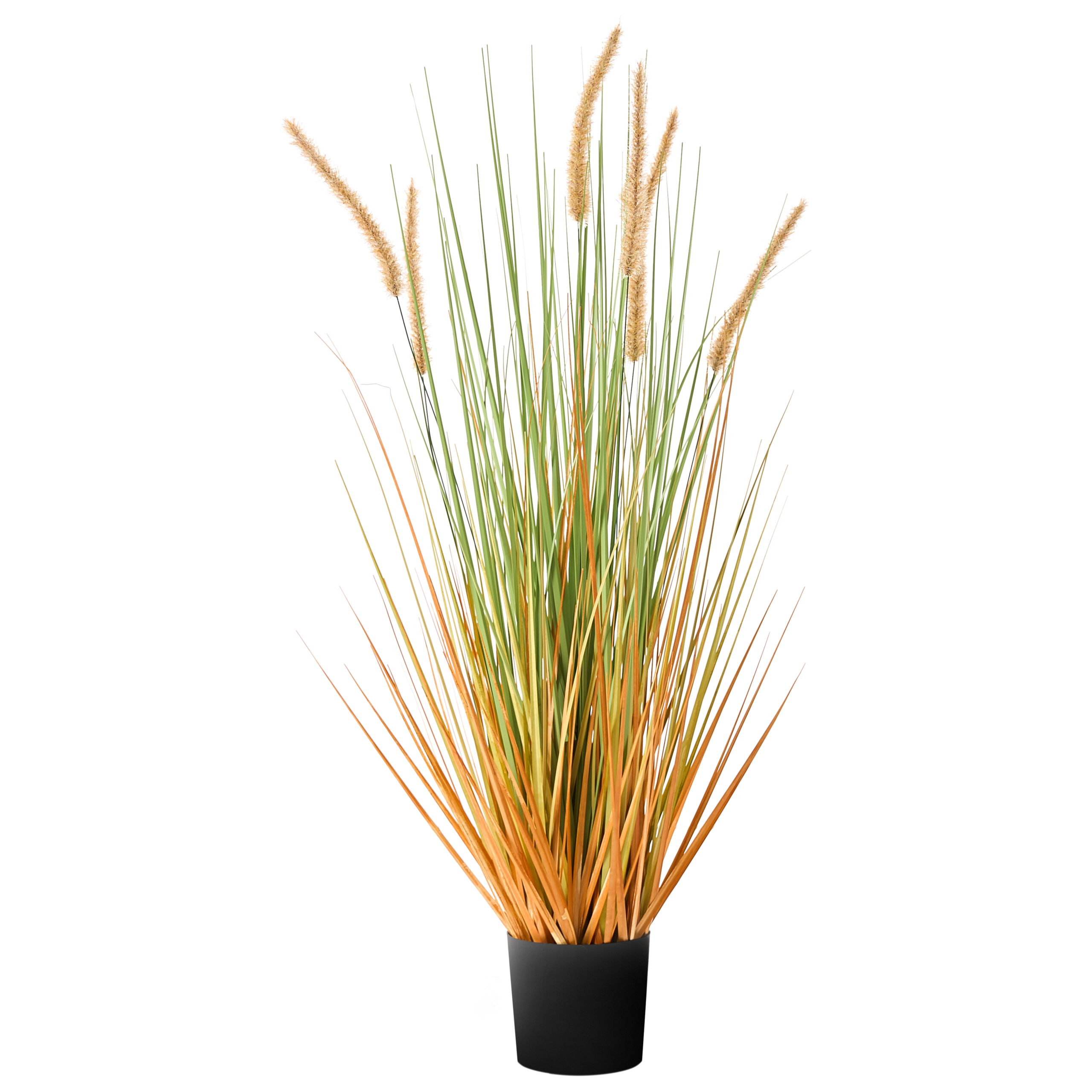 Kunstig plante BRISTLEGRASS 90 cm Grøn