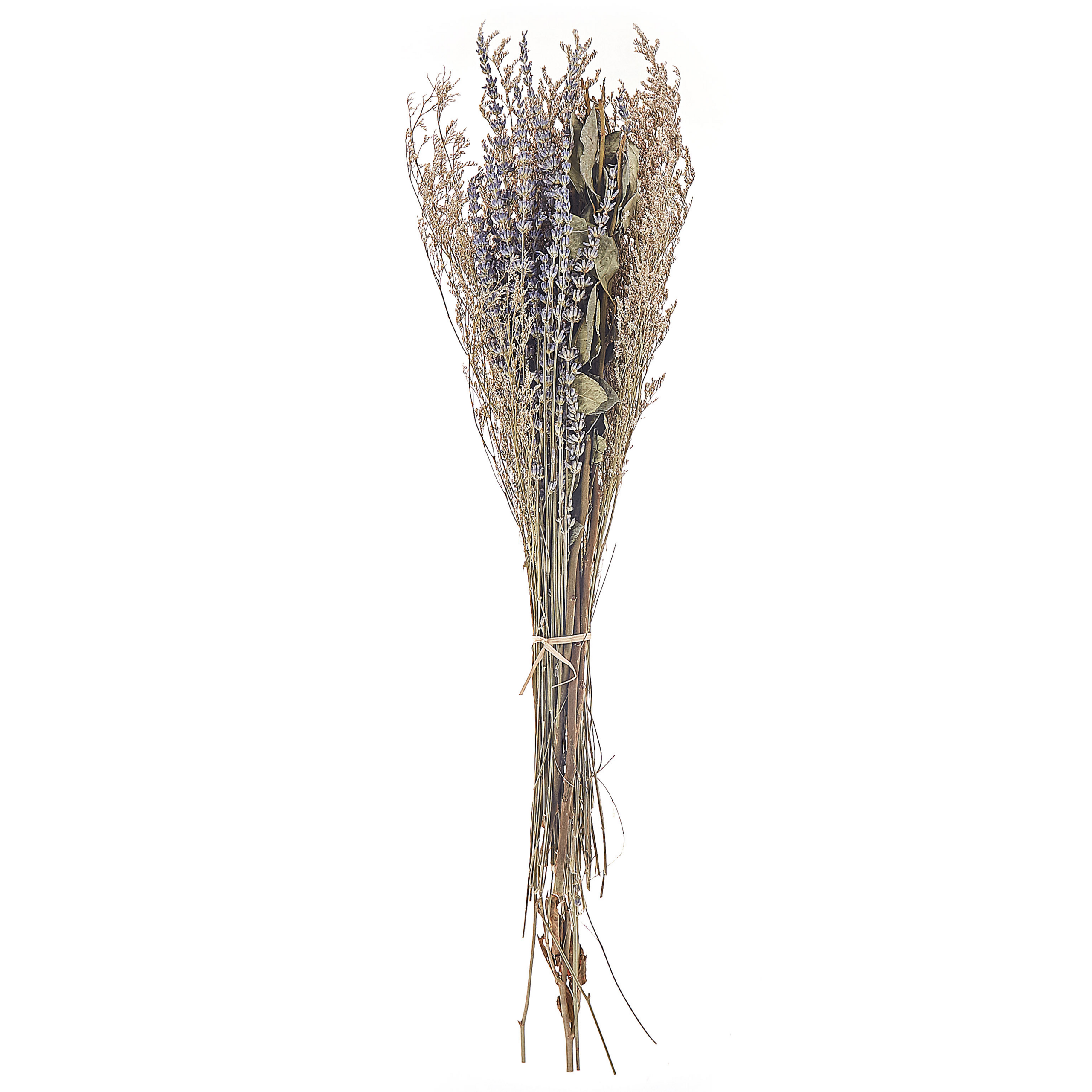 Buket af tørrede blomster NAWARRA 70 cm Naturlig