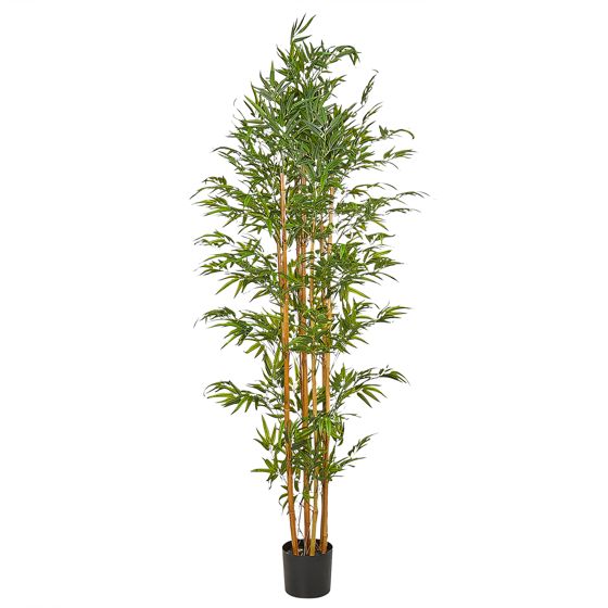 Kunstig plante BAMBOO 220 cm Grøn
