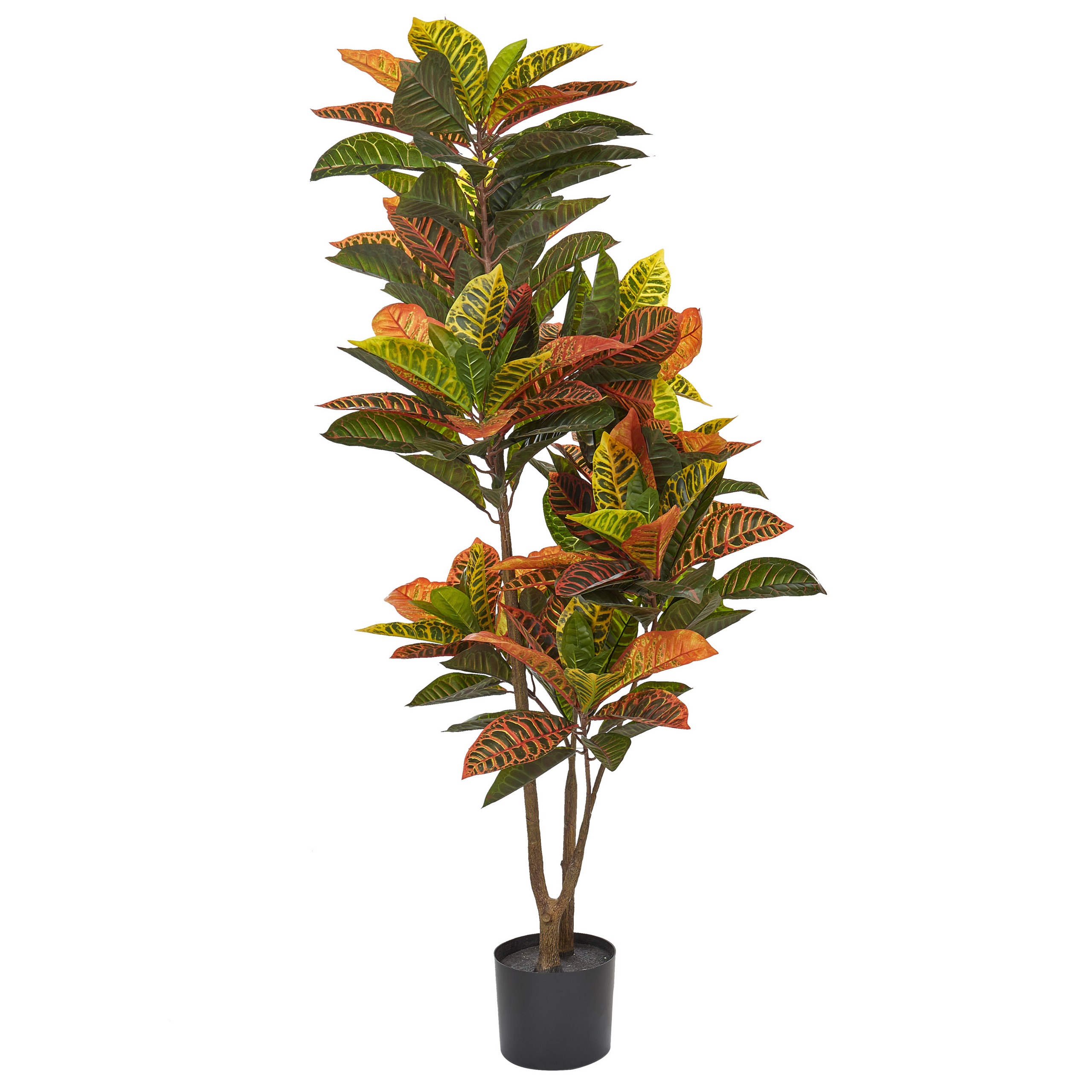 Kunstig plante CODIAEUM 140 cm Grøn