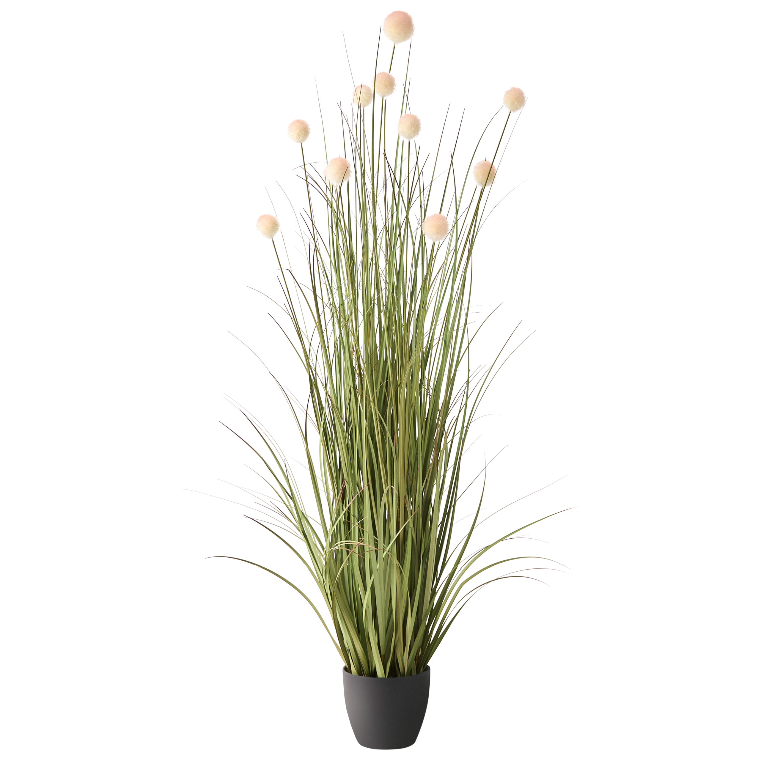 Kunstig plante POMPOM GRASS 120 cm Grøn